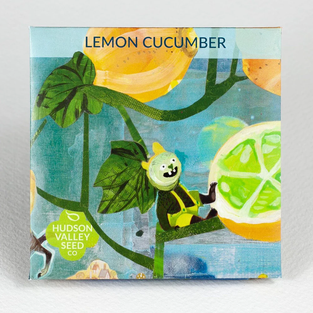 HV Lemon Cucumber